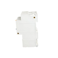 Disjoncteur différentiel LINZELE DZ47-100 1P 80A 100A 125A ELCB RCBO 10kA Capacité de coupure Certifié CE AC 230V IP20