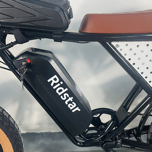 欧盟仓库存货 Ridstar 电动自行车 快速电动自行车 电动划艇车 48V 15Ah 电动自行车 电动划艇车 成人用宽胎电动山地自行车 - Product Image 2