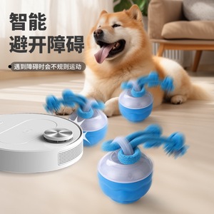 <strong>2026</strong> <strong>New</strong> Arrival Electric Plastic Dog Toy Ball with Built-in Barking Puzzle Rope <strong>for</strong> Small &amp; Medium Dogs Pet Chew Toys - Product Image 2