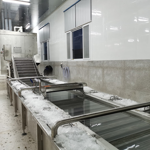 Congelador de túnel IQF para pollo, carne, verduras y camarones congelados, de fabricación rápida, para helados - Precios - Product Image 4