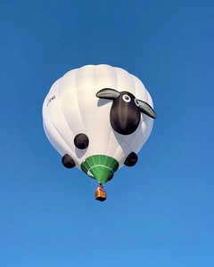 Pallone Pubblicitario Personalizzato Zhongsheng, <span class=keywords><strong>Mongolfiera</strong></span> Gonfiabile Promozionale per Eventi ed Esposizioni - Product Image 5