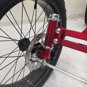 <span class=keywords><strong>Bicicletta</strong></span> Fuoristrada a Quattro <span class=keywords><strong>Ruote</strong></span> con Pneumatici Larghi, Telaio in Acciaio, Forcella in Alluminio, Freni a Disco, <span class=keywords><strong>Ruote</strong></span> da 20 Pollici, Senza Cambio - Product Image 5