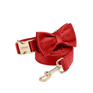 Collar Rojo Personalizado para Perro con Grabado, Juego de Correa y Corbatín - Product Image 1