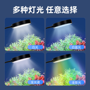 Lampe LED à clipser pour aquarium, 100 Lm/W, économie d'énergie, installation facile pour petits aquariums et plantes aquatiques - Product Image 2