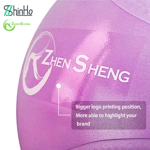 Gym Ball Zhensheng Custom Logo Yoga Ball Gym Exercise Ball Fitness Equipment Gym Exercise Accessory Pilates Ball