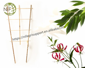 <span class=keywords><strong>NIF</strong></span>, suministro directo de fábrica, embalaje personalizado, escalera Tonkin de bambú natural, enrejado de Bambú - Product Image 5