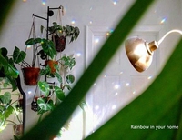 Lustre suspendu en cristal K9 à facettes, lustre de couleur bon marché, éclairage Feng Shui, boule de prisme en cristal K9