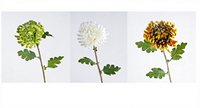 Direct van de fabriek: groothandel in kunstmatige chrysantenboeketten met 5 bloemen voor bruiloften, hotels en vaasdecoratie.