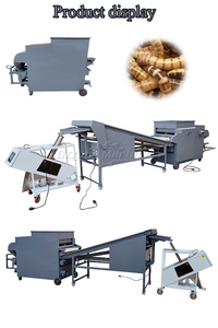 Máquina clasificadora de gusanos de harina, máquina separadora automática de Tenebrio Molier sin polvo, máquina para gusanos de harina - Product Image 4