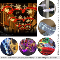 Decoración Navideña de Luces LED 2D de Motivos Fotográficos para Exteriores, Brillante y Hermosa para la Calle Principal, para las Fiestas de Año Nuevo