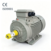 Moteurs asynchrones triphasés CE Série Y2 1500 tr/min 30 kW 40 CV B3 380 V 50/60 Hz Moteur à induction Moteur électrique Boîtier en fonte