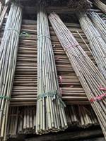 Penyangga Tanaman Bambu Kering Alami Grosir untuk Rumah & Kebun Ukuran Dapat Disesuaikan Gaya Sederhana Modern