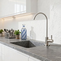 Keran Dapur Modern Grosir, Satu Tuas, Stainless Steel 304 Hitam dengan Inti Katup Keramik untuk Sistem RO Pemurni Air