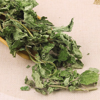 Vente en gros de feuilles de mélisse chinoise de haute qualité, variété complète