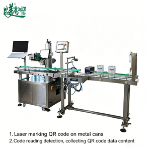 Codeur laser automatique en ligne |   Machine de marquage AI-Ready GS1 QR/DataMatrix pour la production et la traçabilité des boîtes laitières - Product Image 5