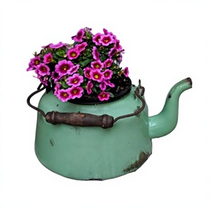 Wholesale New Design Metal Watering Can Competitive Price <b>Kettle</b> - Product Image 3