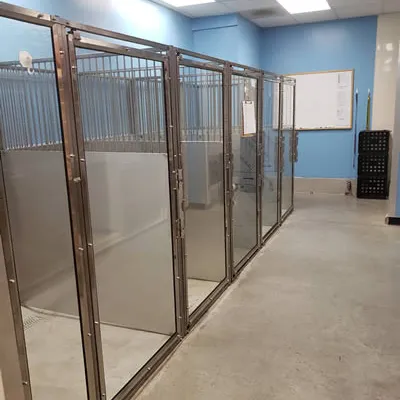 Cages pour chiens d'intérieur en acier inoxydable avec porte en verre Walk in Kennel