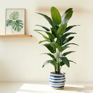 Un grand <span class=keywords><strong>bananier</strong></span> artificiel nécessitant peu d'<span class=keywords><strong>entretien</strong></span>, fabriqué en plastique, adapté à une utilisation en intérieur et en extérieur - Product Image 4