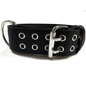 <span class=keywords><strong>Collar</strong></span> de perro de nailon acolchado cómodo con pasadores dobles ajustables con asa Correa resistente para mascotas para perros medianos y grandes - Product Image 1