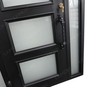 Portes d'entrée en fer forgé, style battant, avec vitrage, pour <span class=keywords><strong>maison</strong></span> principale - Product Image 5