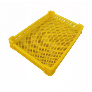 Boîte <span class=keywords><strong>de</strong></span> palette en plastique ventilée et durable <span class=keywords><strong>de</strong></span> qualité alimentaire pour fruits et légumes, écologique, en maille, pour la vente - Product Image 1