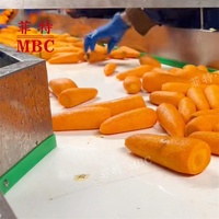 MBC OEM Aangepaste 500-2000 Kg/uur Hoge Capaciteit Cassave Aardappel Bieten Wortel Was- en Schilmachine RVS Schil- en Reinigingsmachine