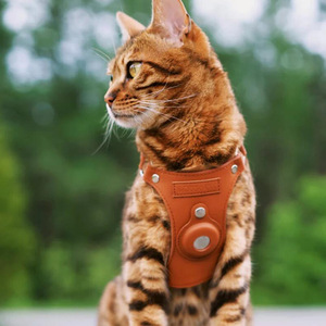 ポジショナーエアタグケースに適したカスタムブラウンレザー調節可能なメタルバックルスモールペットキャットドッグチェストストラップハーネス - Product Image 3