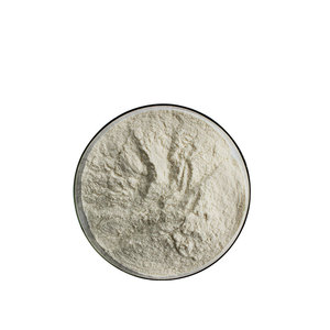 Bulk 98% Trans-Extract Extract Powder Trans 537-42-8 Trans - Product Image 2