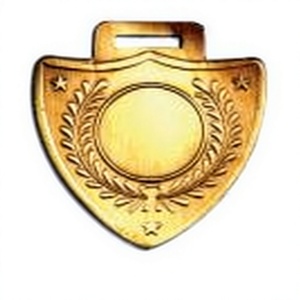 Badge en cuivre, emblème frappé à l'ancienne, centre vierge, couronne de lauriers, trois étoiles, médaille, artisanat métallique - Product Image 5