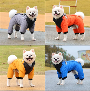 Qiqu-traje de nieve para tienda de mascotas, chaqueta impermeable para perros medianos y pequeños, reflectante, Extra cálido, para invierno - Product Image 2