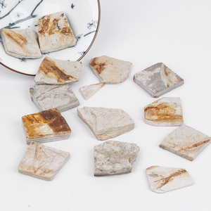 Lycoptera Fragment fossils | <span class=keywords><strong>ปลา</strong></span>ครีเทเชียสยังคง | เหมาะสำหรับการศึกษา Micro-paleontology - Product Image 5