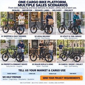 Vélos cargo électriques de la série Dealer, vélos utilitaires urbains avec batterie amovible 36V et freins hydrauliques pour la vente au détail - Product Image 6