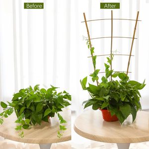 Enrejado de <span class=keywords><strong>Bambú</strong></span> para Jardín - 61 cm de Alto, Perfecto para Plantas Trepadoras, Vegetales y Macetas - Mejora tu Jardín con <span class=keywords><strong>Bambú</strong></span> Natural - Product Image 5
