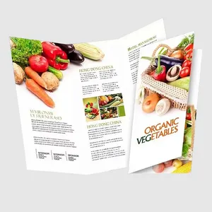 Brochure in materiale Eco stampa cinese su misura brochure Art Color design a basso costo pieghevole menu catalogo volantini