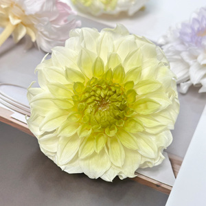 ดอกไม้ธรรมชาติแท้ที่เก็บรักษาไว้แห้งกุหลาบประดิษฐ์นิรันดร์นิรันดร์ดอกไม้ดอกรักเร่สำหรับช่อดอกไม้ของขวัญวาเลนไทน์ - Product Image 4