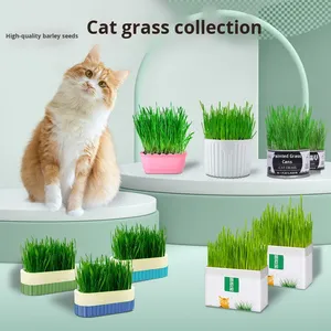 Venta al por mayor de hierba para gatos, caja hidropónica de plástico, <span class=keywords><strong>semillas</strong></span> de trigo, plantas en maceta, removedor de bolas de pelo, hierba gatera, aperitivos ecológicos - Product Image 1