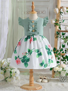 ชุดเดรสเด็กผู้หญิงลายดอกไม้ ปี 2026 คอทรงโอ แขนสั้น ผ้าฝ้ายผสมรักษ์โลก ทรงเอไลน์ พิมพ์ลายฤดูร้อน สไตล์เจ้าหญิง - Product Image 3
