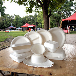 Plateau alimentaire rond jetable en bagasse écologique de 9 pouces, assiettes en papier biodégradables et compostables pour les fêtes et les restaurants - Product Image 6