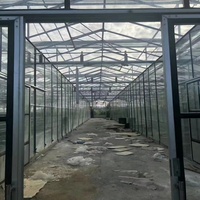 Serre en verre professionnelle de grande taille pour la culture des fleurs, design solaire, équipée d'un système de brumisation automatique