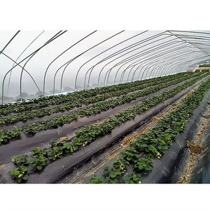 200 वर्ग मीटर छोटे प्लास्टिक टर्की ग्रीनहाउस रेगिस्तान कृषि के लिए ग्रीनहाउस रेगिस्तान किट - Product Image 5