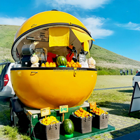 Food Truck à fruits équipé d'une cuisine complète en acier inoxydable, kiosque géant ouvert pour citronnades avec grand espace pour 2 personnes