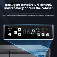Congélateur vitrine sous comptoir pour cuisine professionnelle, capacité 250L, de -18°C à -5°C, horizontal, à refroidissement par air, poste de travail