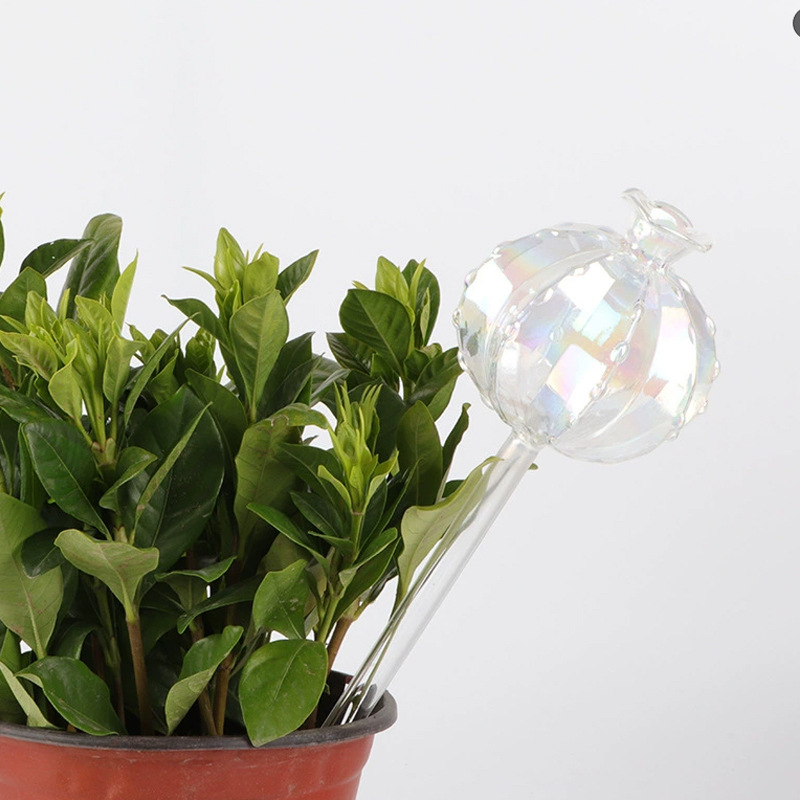 Transparent Cactus Watering Can