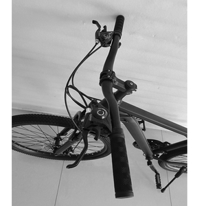 Bay <span class=keywords><strong>PIGEON</strong></span> Giá Rẻ 26 Inch 21 Tốc Độ Khung Xe Đạp Giảm Xóc Off Road Xe Đạp Leo Núi (FP-MTB22012) - Product Image 3