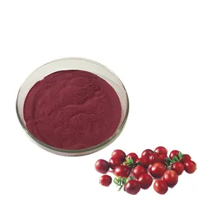 สารสกัดจากสมุนไพรจีน Lingonberry ผงสารสกัดจาก Lingonberry