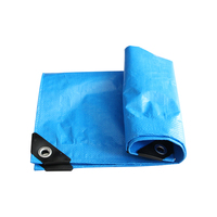 Bâche robuste argentée avec 6 élastiques, imperméable et anti-UV, 5M X 6M, pour mobilier de marché extérieur et couverture de caravane