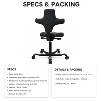 Chaise de bureau ergonomique en alliage d'aluminium, style moderne et minimaliste, pivotante, avec assise ergonomique, hauteur réglable, base coulissante, pour la maison et le bureau