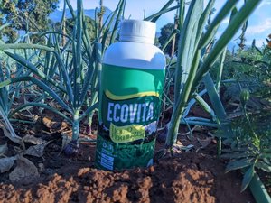 Engrais Liquide Minéral EcoVita Organa0 TZ Origin de Haute Qualité pour Améliorer la Santé du Sol et Augmenter les Rendements des Cultures - Product Image 5