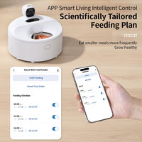 Distributeur de nourriture pour animaux de compagnie réfrigéré intelligent OEM, logo personnalisé, distributeur de nourriture humide pour chat à 5 compartiments avec caméra et contrôle par application