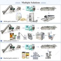 Machine industrielle automatique de pelage et de séparation des bulbes de gingembre et d'ail, et ligne de production en Égypte